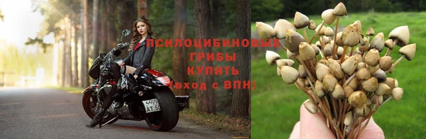 трава Абдулино