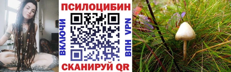 Галлюциногенные грибы мухоморы Покачи